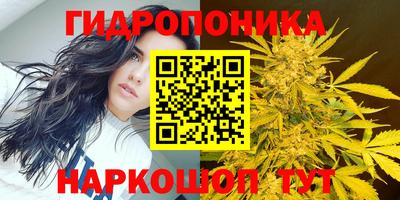 не бодяженный Жуковский