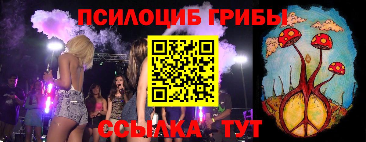 Псилоцибиновые грибы прущие грибы  Вход с VPN  Кушва 